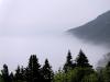 brume du matin …